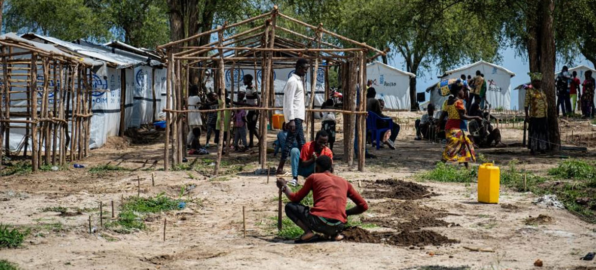 Pessoas que fugiram de suas casas constroem novos abrigos no leste da República Democrática do Congo