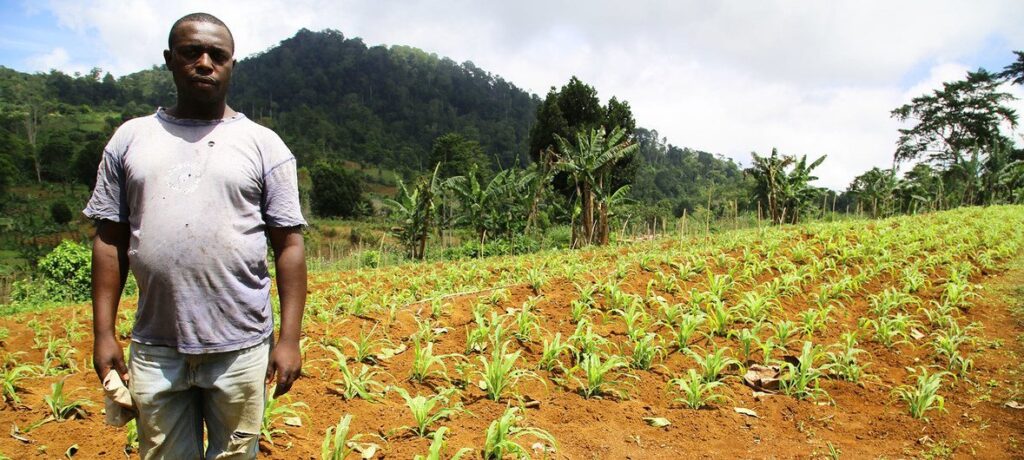 Para chefe da ONU em São Tomé e Príncipe é preciso ter abordagens integradas que reconciliem os objetivos ambientais e o desenvolvimento com práticas que considerem a conservação da sustentabilidade e o progresso econômico