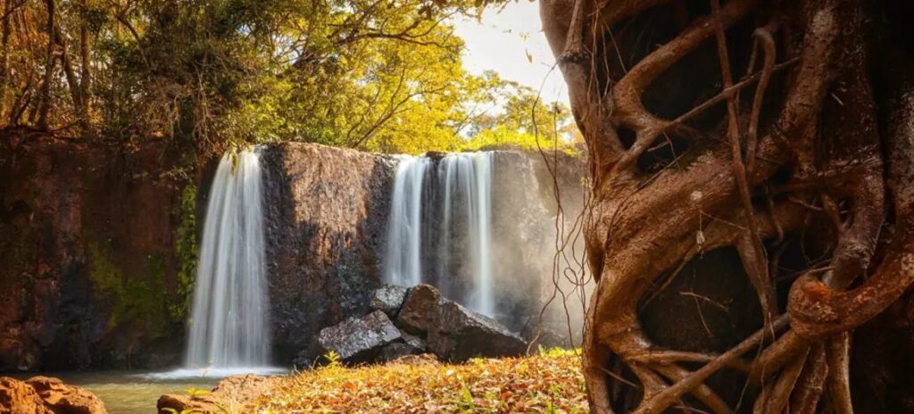 Município de Uberaba tornou-se o primeiro de Minas Gerais e o sexto do Brasil a obter a chancela atribuída pela Unesco desde 2015