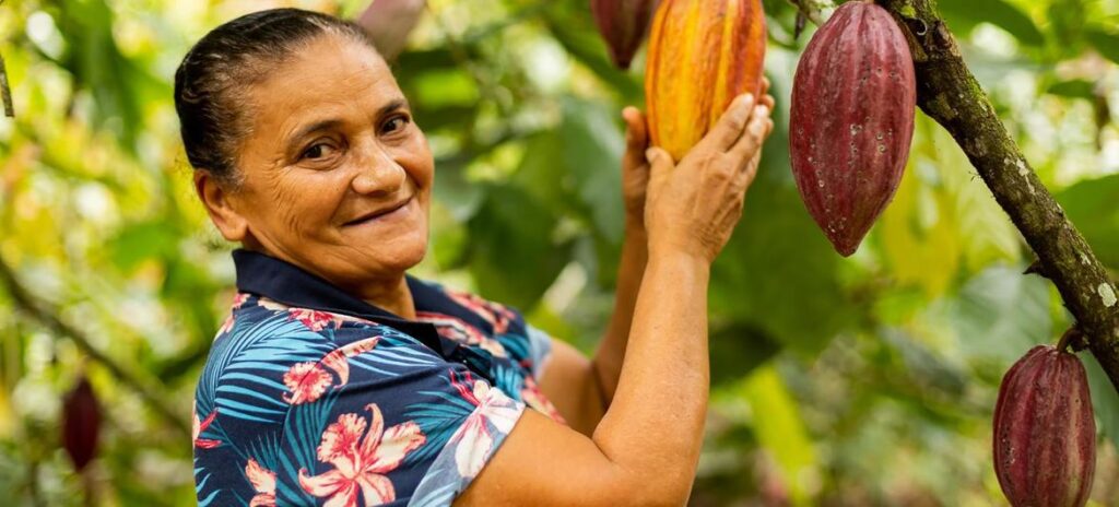 Mulheres corresponderão a 50% das pessoas beneficiárias do projeto "CompensAÇÃO: Promoção de Pagamento por Serviços Ambientais (PSA) para cadeias produtivas livres de desmatamento no Brasil