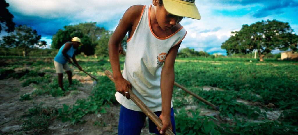 Menino ajuda família a trabalhar a terra no nordeste do Brasil