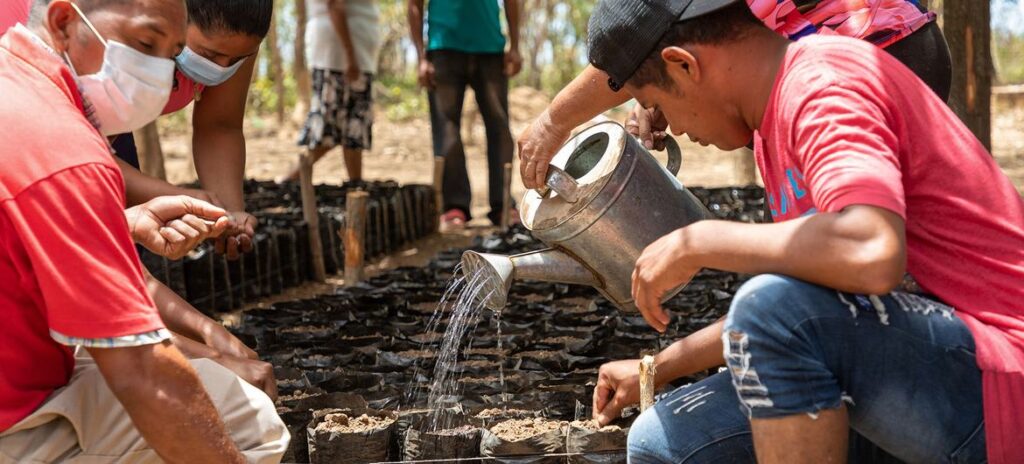 Pessoas cuidam de um viveiro de sementes em um projeto de resiliência do WFP em Honduras.