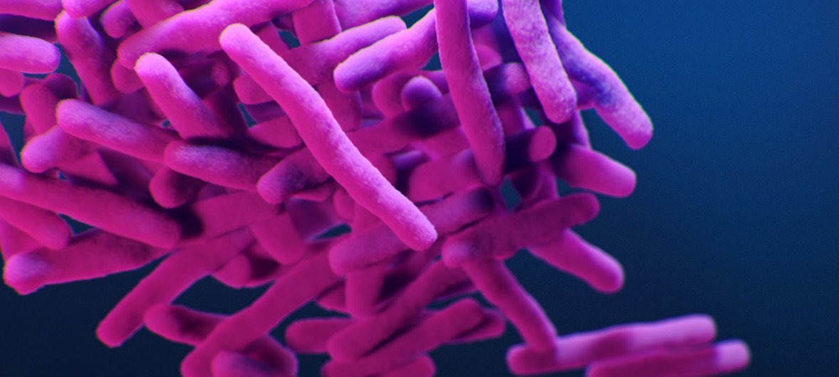 Uma ilustração médica retrata a bactéria Mycobacterium tuberculosis, resistente a medicamentos