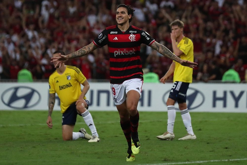 O atacante do Flamengo, Pedro, em foto de arquivo. EFE